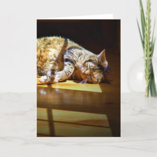 Langsame Tage, Karte