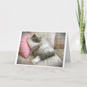 Langsame Tage, Karte