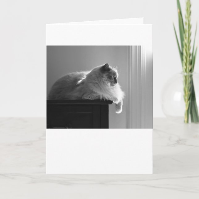 Langsame Tage, Karte (Vorderseite)