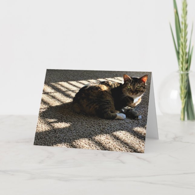 Langsame Tage, Karte (Vorderseite)