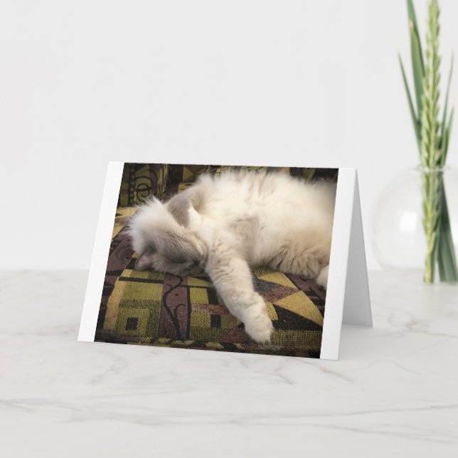 Langsame Tage, Karte (Vorderseite)