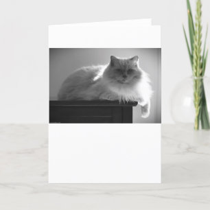 Langsame Tage, Karte