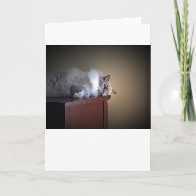 Langsame Tage, Karte (Vorderseite)