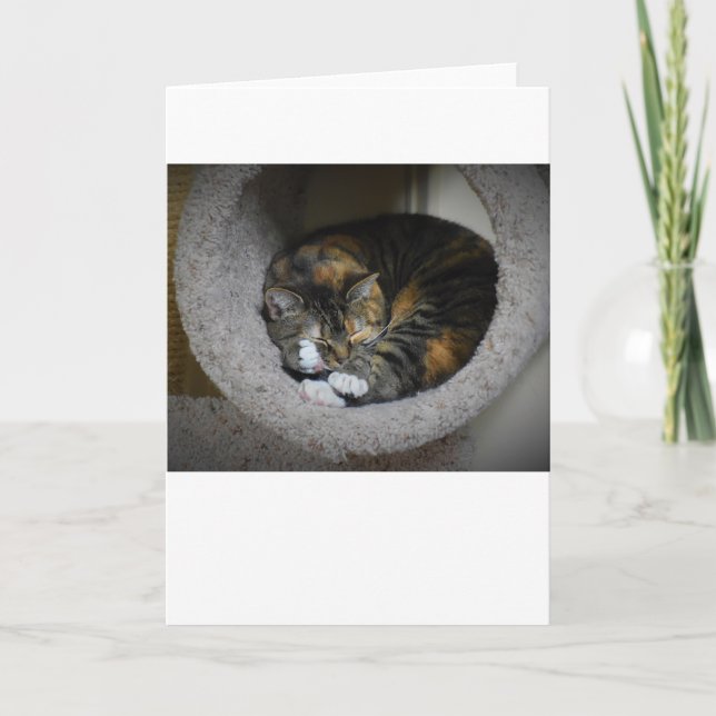 Langsame Tage, Karte (Vorderseite)