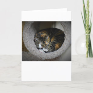 Langsame Tage, Karte