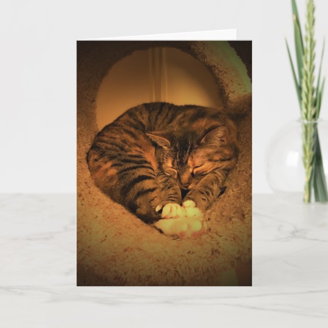 Langsame Tage, Karte (Vorderseite)