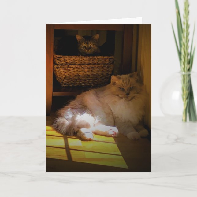 Langsame Tage, Karte (Vorderseite)