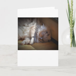 Langsame Tage, Karte