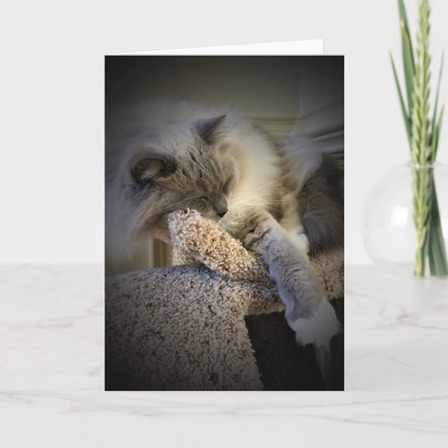 Langsame Tage, Karte (Vorderseite)