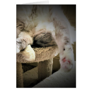 Langsame Tage, Karte