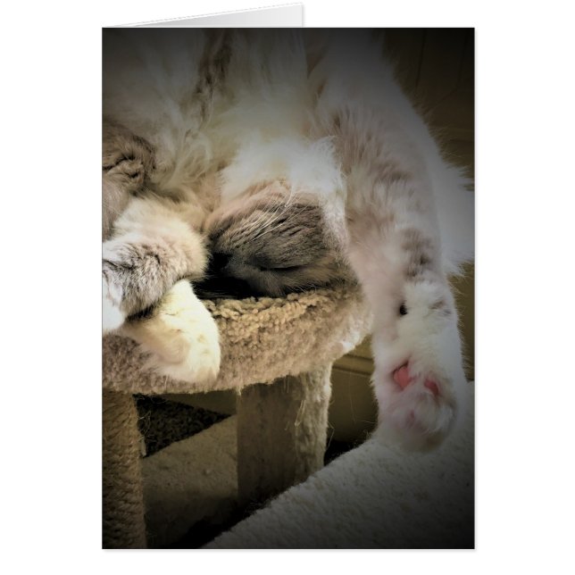 Langsame Tage, Karte (Vorne)