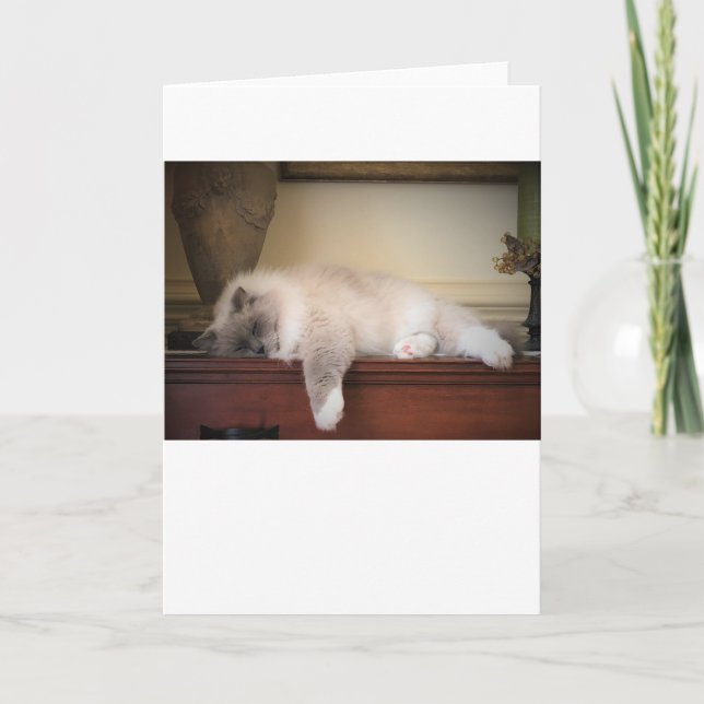 Langsame Tage, Karte (Vorderseite)