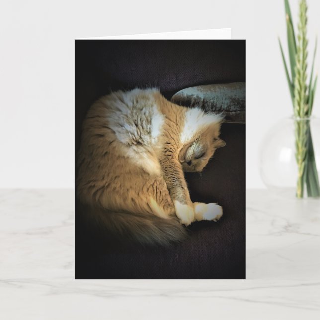 Langsame Tage, Karte (Vorderseite)