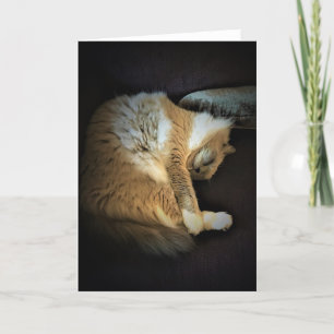 Langsame Tage, Karte