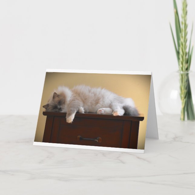 Langsame Tage, Karte (Vorderseite)