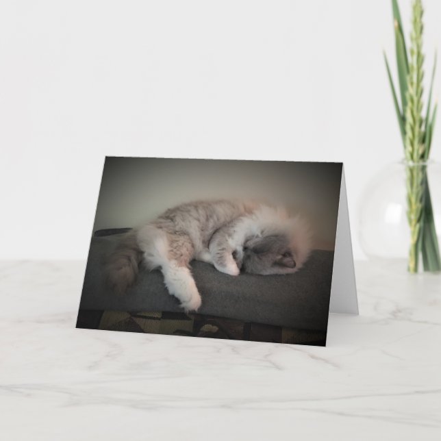 Langsame Tage, Karte (Vorderseite)