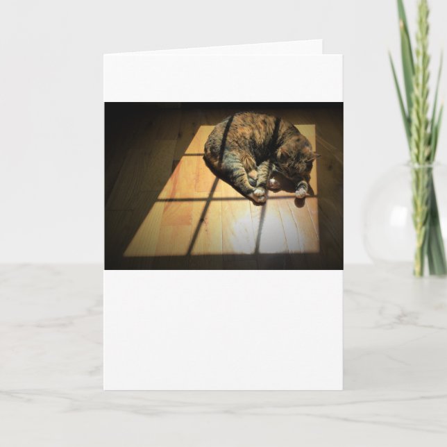 Langsame Tage, Karte (Vorderseite)