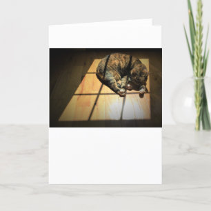 Langsame Tage, Karte