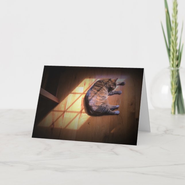 Langsame Tage, Karte (Vorderseite)