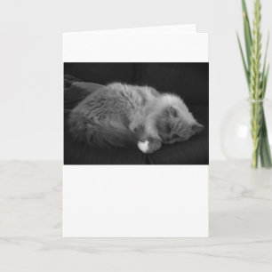 Langsame Tage, Karte