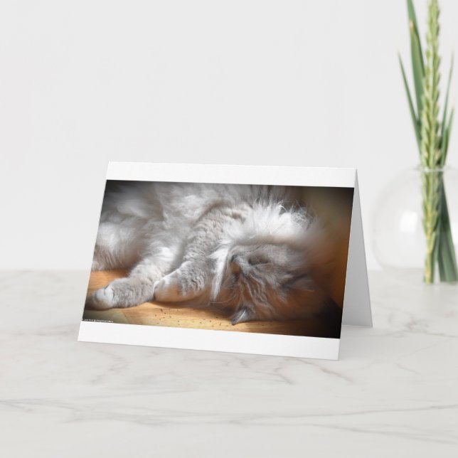 Langsame Tage, Karte (Vorderseite)