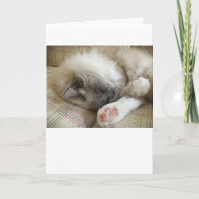 Langsame Tage, Karte (Vorderseite)