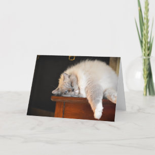 Langsame Tage, Karte