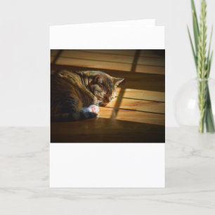 Langsame Tage, Karte