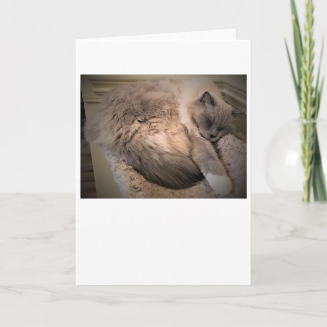 Langsame Tage, Karte (Vorderseite)