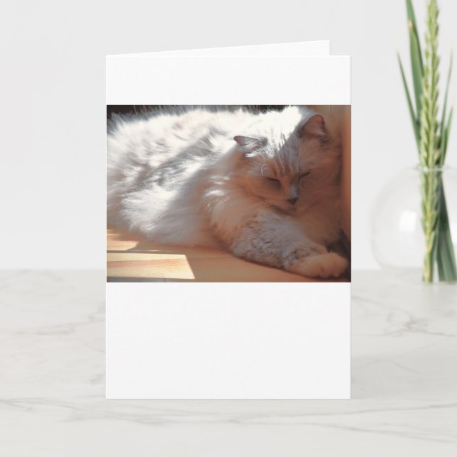 Langsame Tage, Karte (Vorderseite)