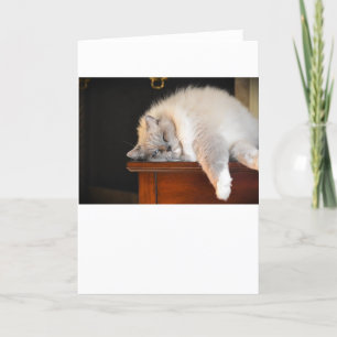 Langsame Tage, Karte