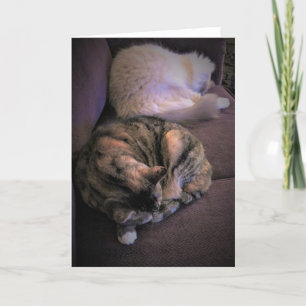 Langsame Tage, Karte