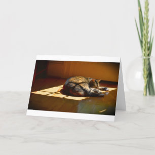 Langsame Tage, Karte