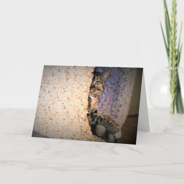 Langsame Tage, Karte (Vorderseite)