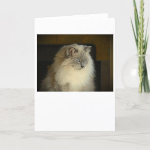 Langsame Tage, Karte