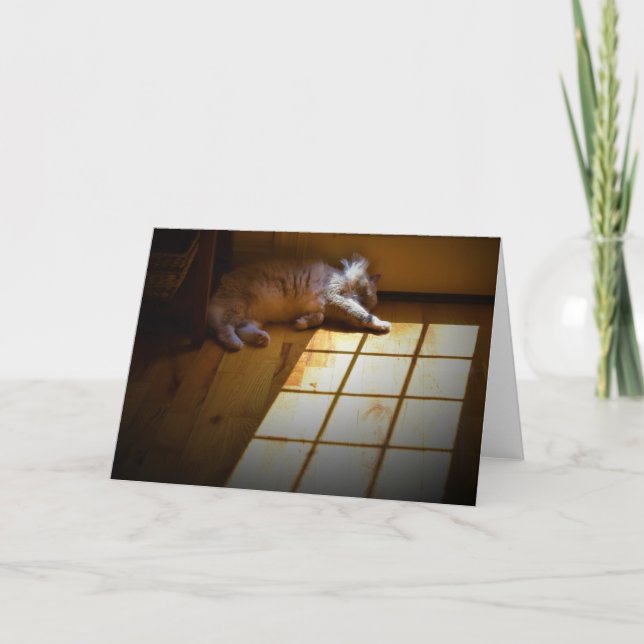 Langsame Tage, Karte (Vorderseite)