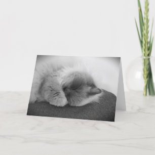 Langsame Tage, Karte