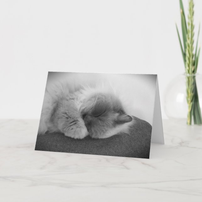 Langsame Tage, Karte (Vorderseite)