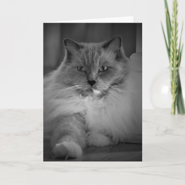 Langsame Tage, Karte (Vorderseite)