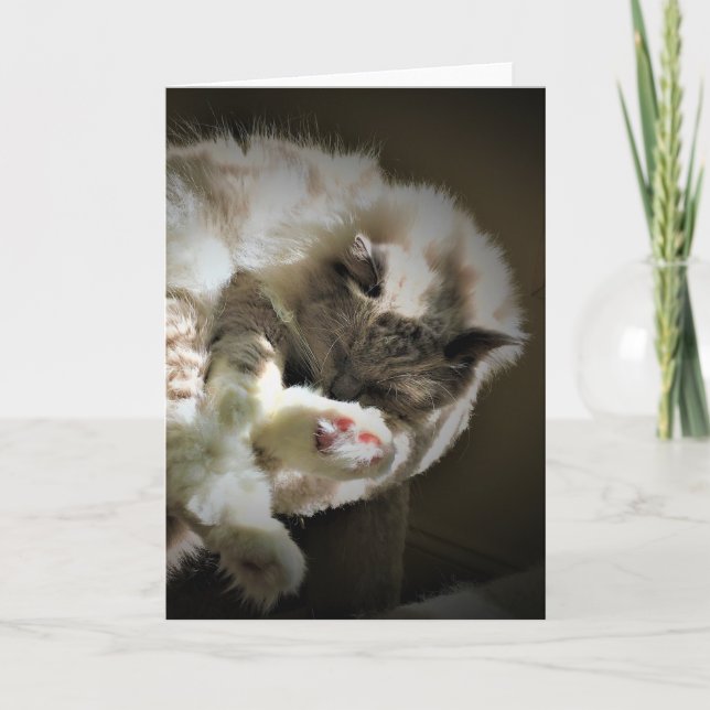 Langsame Tage, Karte (Vorderseite)