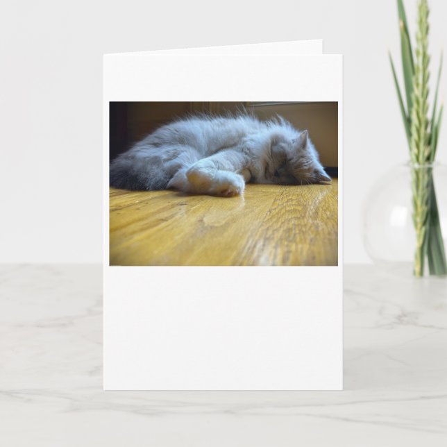 Langsame Tage, Karte (Vorderseite)