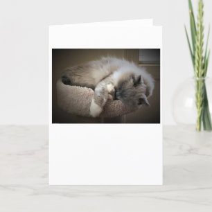 Langsame Tage, Karte