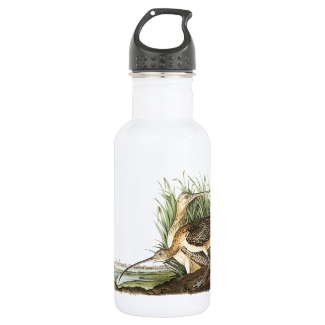 Langschnabel von Audubon Trinkflasche (Vorderseite)