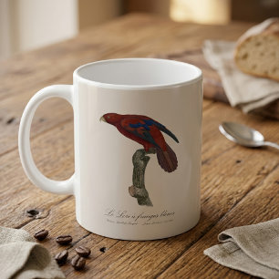 Langschwanz-Lori, Trichoglossus borneus Kaffeetasse