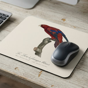 Langschwanz-Lori, Trichoglossus borneus Mousepad