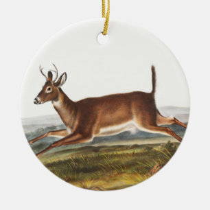 Langschwanzhirsch (Cervus leucurus) Illustration Keramik Ornament