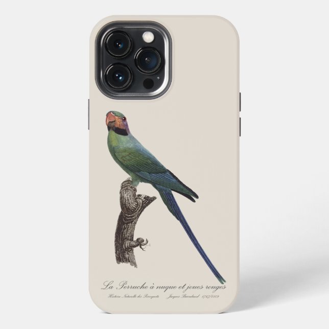 Langschwanzsittich, Psittacula Longicauda iPhone 13 Pro Max Hülle (Rückseite)