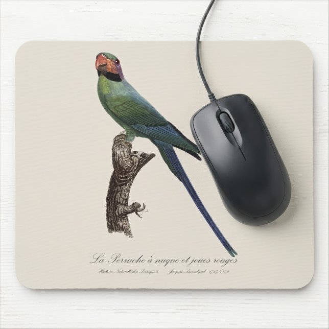Langschwanzsittich, Psittacula Longicauda Mousepad (Long-Tailed Parakeet, Psittacula Longicauda. Mouse Pad)