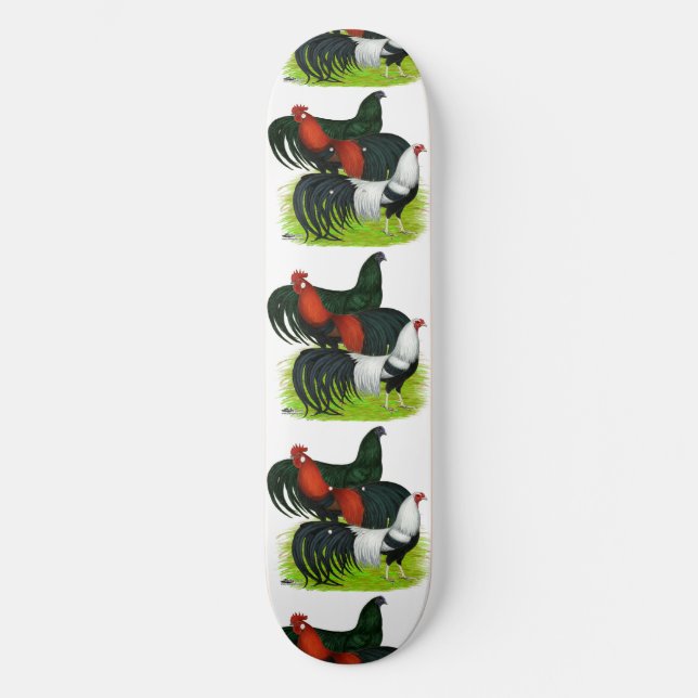 Langschwanztrio Skateboard (Vorderseite)
