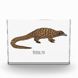 Langtailed Pangolin Cartoon Fotoblock